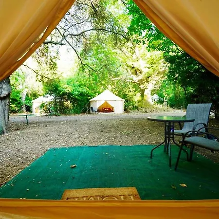 Luxury Палиури