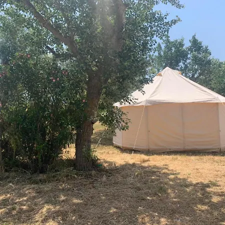 Luxury Paliouri