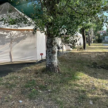 Luxury Paliouri