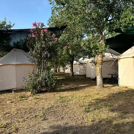Luxury Luxury tent Paliouri