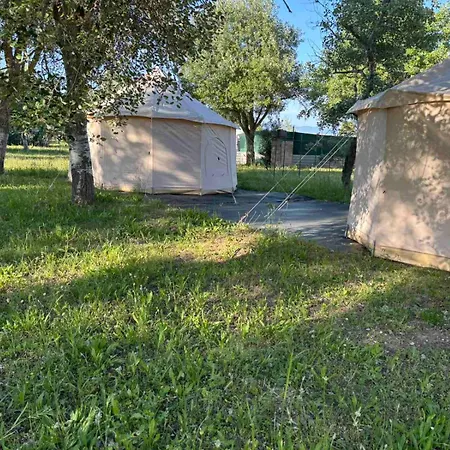 Luxury Luxury tent Paliouri