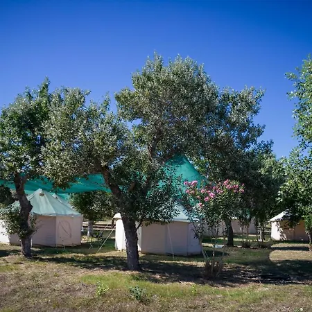 Luxury Glamping