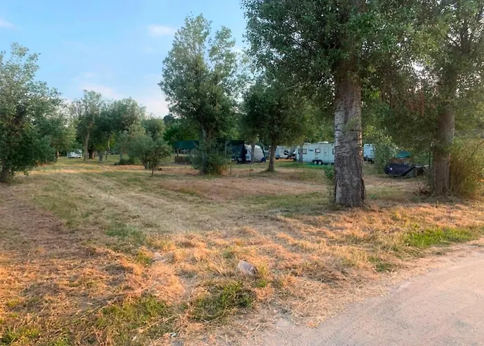 Οργανωμένο κάμπινγκ Luxury Παλιούρι