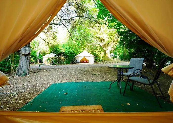 Luxury Παλιούρι