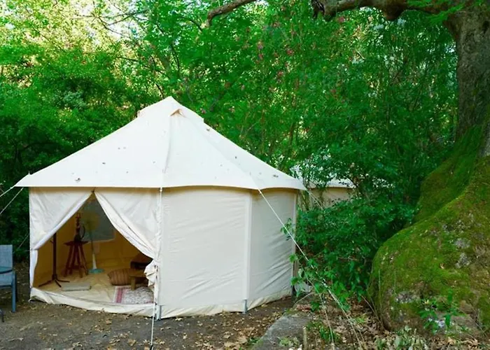 Luxury Οργανωμένο κάμπινγκ Παλιούρι