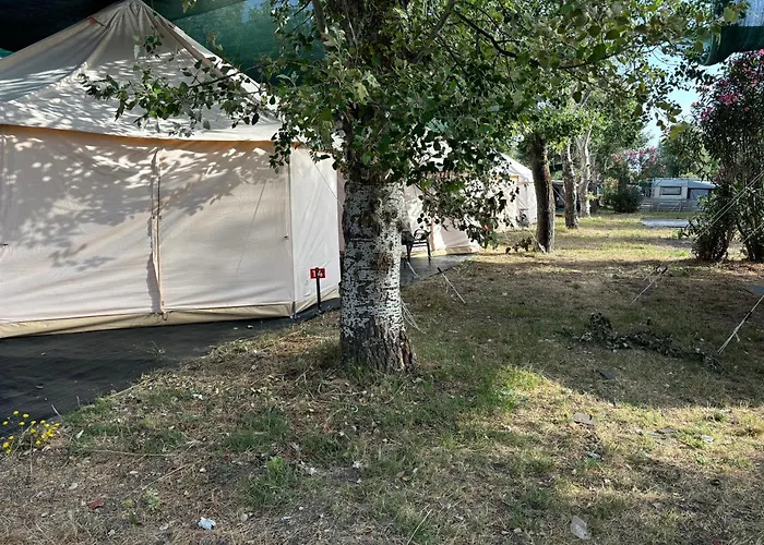 Luxury Παλιούρι